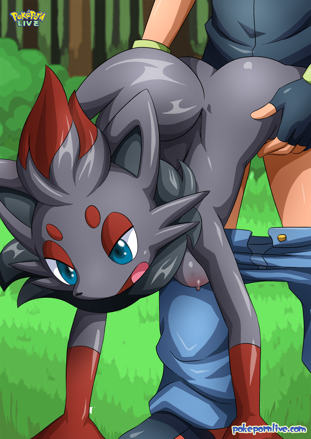 1boy, 1girls, animal ears, anthro, ass, bare shoulders, black fur, blue eyes, breasts, doggy style, female, fox, from behind, furry, high resolution, highres, human, interspecies, jeans, leg grab, leg up, legs up, looking down, male, multicolored hair, naked, nipples, nude, open eyes, open mouth, pokémon (species), pokemon, pokemon (species), pokemon bw, pokephilia, pokepornlive, sex, short hair, spread legs, straight, tagme, tail, thighs, tongue, uncensored, white skin, zoophilia, zorua