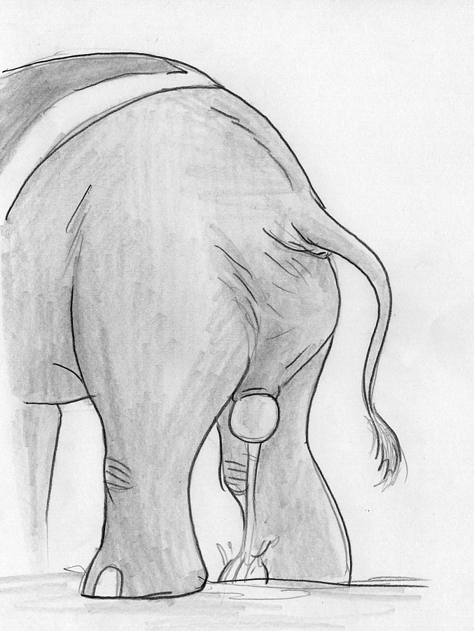 amniotic_fluid amniotic_sac ass birth bodily_fluids bulge bulge_from_behind clothing elephant elephantid female feral genital_fluids genitals labor leovictor mammal mrs._jumbo paintbrush_tail placenta proboscidean pussy rear_view shawl solo standing tail vaginal_penetration water_broke