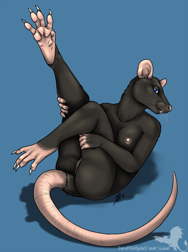 anthro ass black_fur blue_eyes breasts claws female female_only fur genitals linsey_huish nipples pussy rat sidian simple_background smile solo tail teeth vagina