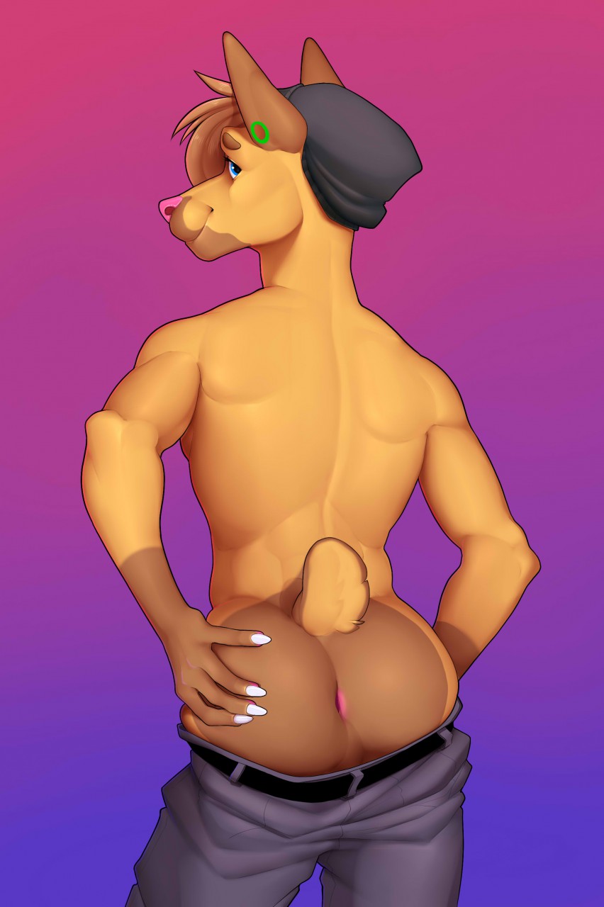 anthro ass beanie canid canine canis clothing dobermann domestic_dog ear_piercing flesh_tunnel flick_(slushie315) gauged_ear hair hat headgear headwear hi_res looking_at_viewer male male_only mammal meheheehehe nub_tail piercing pinscher presenting presenting_hindquarters simple_background slim smile solo