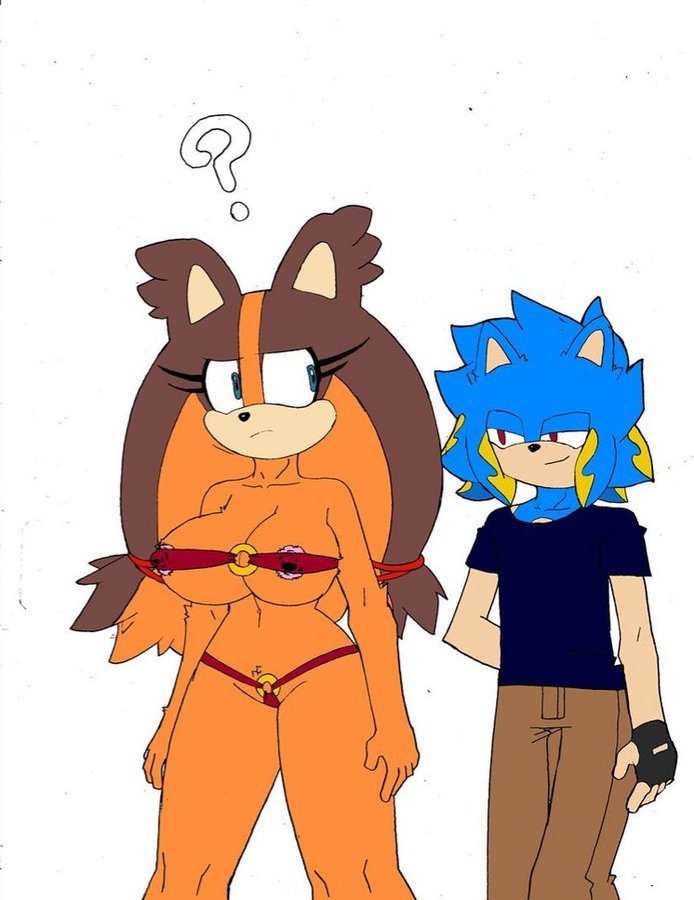 Fan Character (Sonic (Series)) Rule 34 Image
