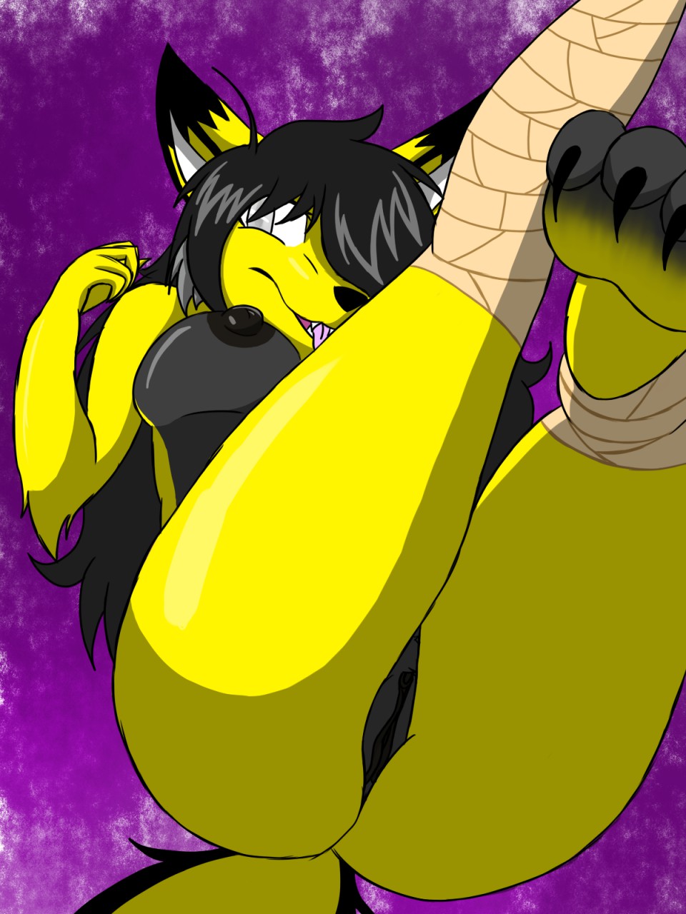 anthro bandage black_body black_fur black_hair breasts fangs female fluffy fluffy_tail fur genitals greendayfox grey_eyes hair hi_res multicolored_body multicolored_fur nipples open_mouth pussy simple_background solo tongue tongue_out two_tone_body two_tone_fur yellow_body yellow_fur