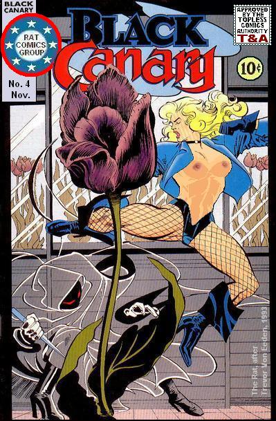 alias_the_rat black_canary dc green_arrow_(series) photoshop