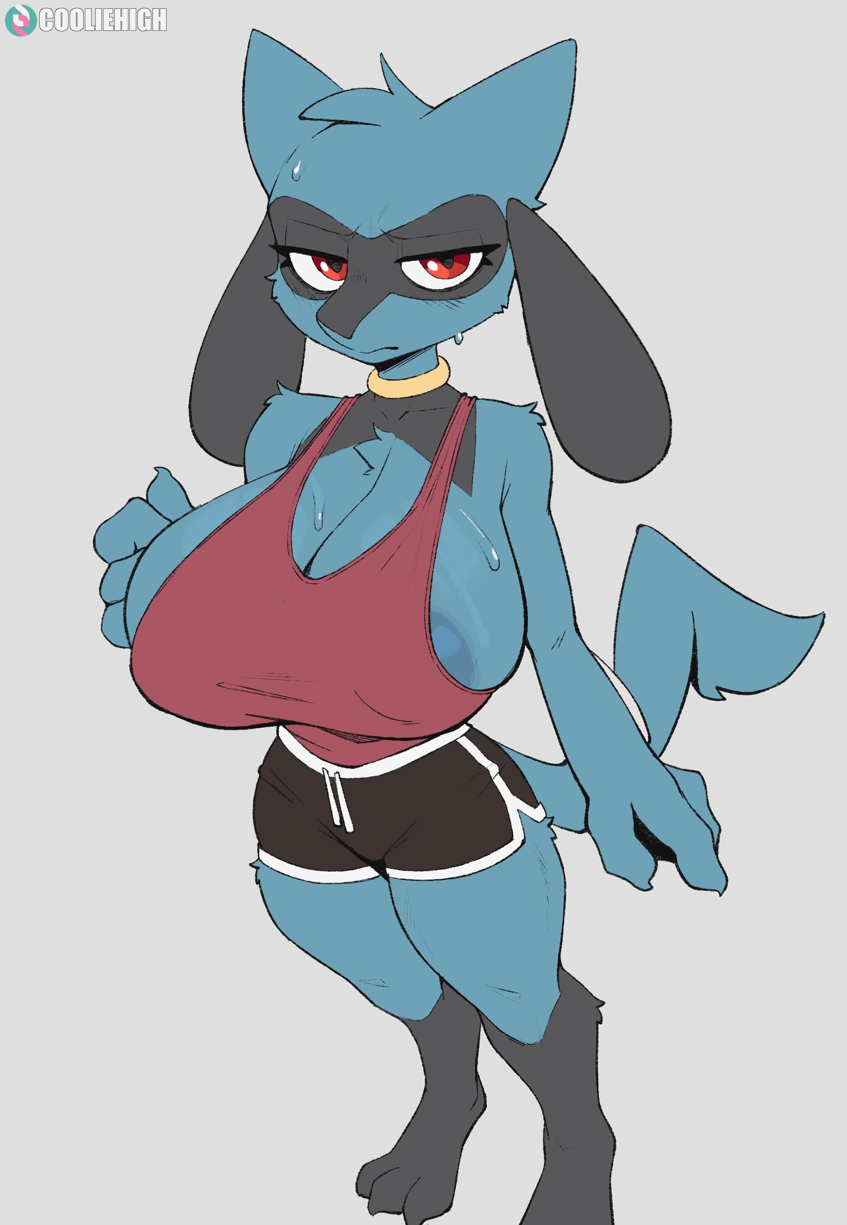 2026, anthro, areola, areolae slip, big breasts, clothed, cooliehigh, female, furry, pokemon, pokemon (species), riolu, solo, tagme