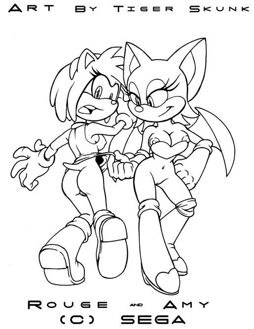 amy_rose rouge_the_bat sega sonic_(series) tiger_skunk