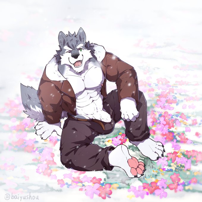 2019 4_toes 5_fingers arm_on_leg baiyushou barefoot bulge canine erection_in_panties flowers furry green_eyes grey_fur hand_on_ground jacket_open male_only muscles muscular_male one_eye_closed pants_open smiling solo tagme thick_penis thick_thighs veiny_penis wolf