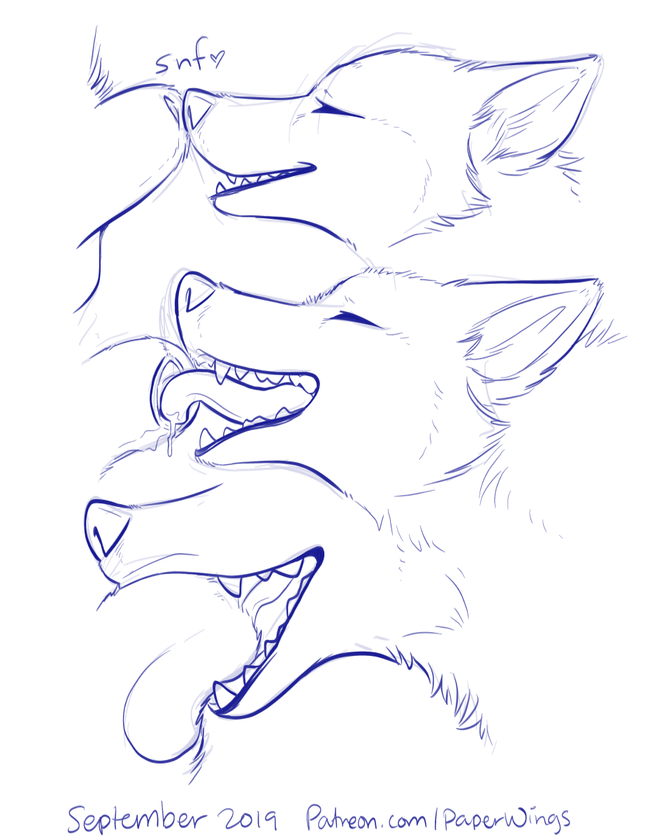 animal_genitalia blue_and_white canid canine duo feral fur genitals hi_res licking male mammal monochrome paper-wings sheath sheath_play simple_background sketch smile sniffing teeth text tongue tongue_in_sheath tongue_out