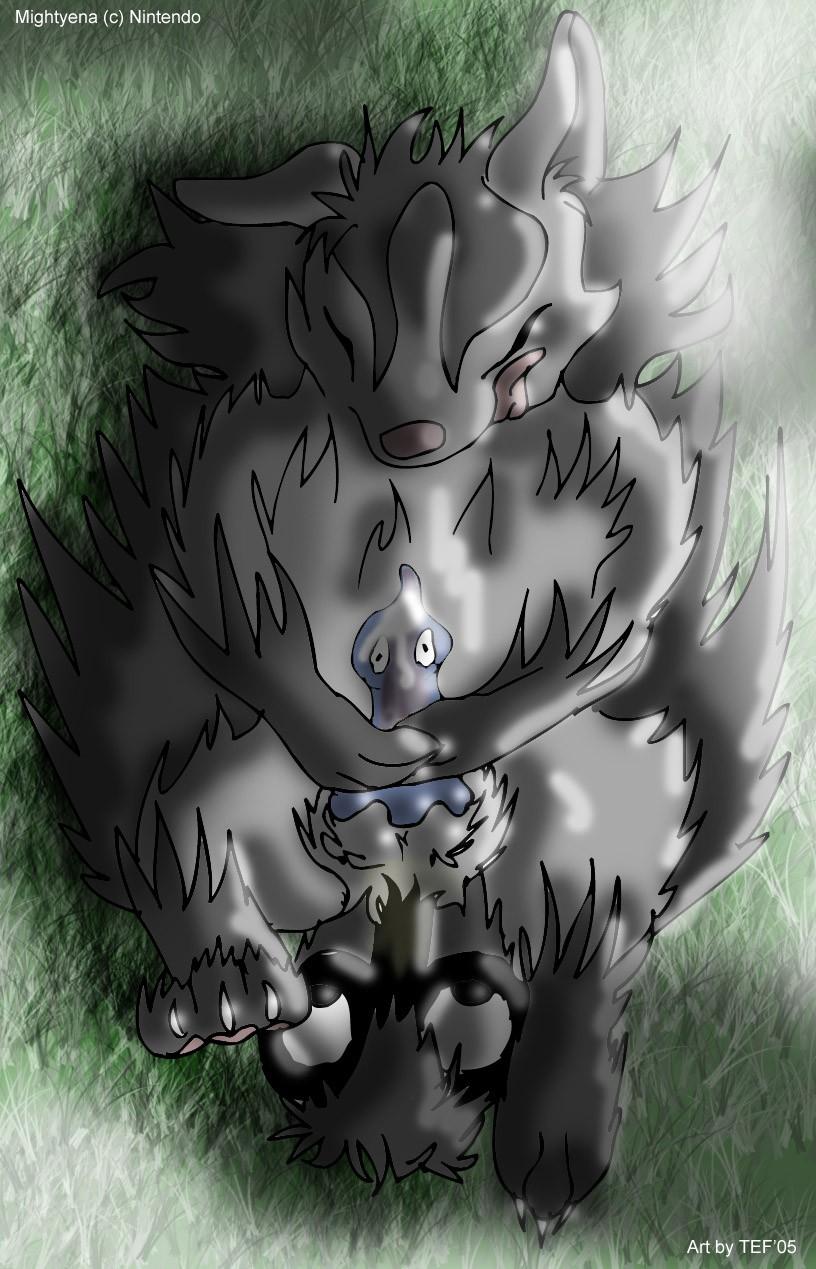 castform male/ambiguous mightyena pokémon_(species) pokemon pokemon_(species) tagme unown