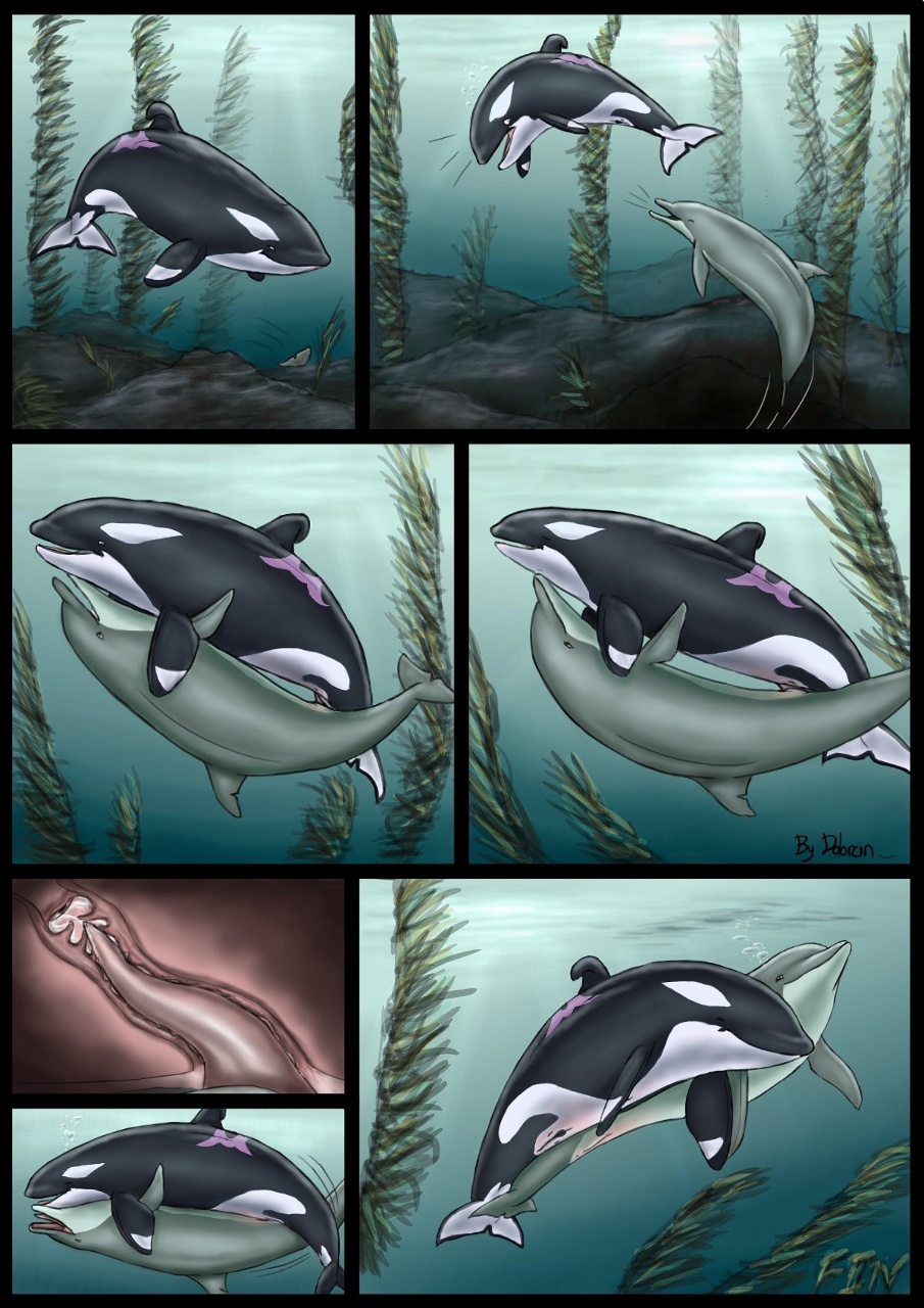 animal_genitalia animal_penis animal_pussy bodily_fluids cetacean cetacean_penis cetacean_pussy comic cum cum_inside delphinoid dolorcin duo female female_penetrated feral genital_fluids genital_slit genitals hi_res internal interspecies male male_penetrating male_penetrating_female mammal marine oceanic_dolphin orca penetration penis pussy sex slit straight tapering_penis toothed_whale underwater underwater_sex vaginal_penetration water