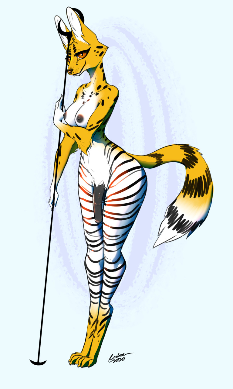 1futa 2020 3:5 anthro biped black_spots black_stripes breasts eloise_(ferima) equid equine felid feline ferima fur futanari genitals gynomorph hi_res hybrid intersex mammal nipples orange_eyes penis serval simple_background solo solo_futa spots spotted_body spotted_fur standing striped_body striped_fur stripes white_background zebra