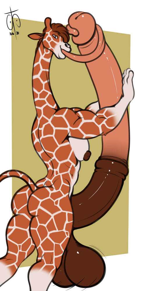 2020 anthro autotonguejob balls big_balls big_penis brown_balls cinnamon_(freckles) digital_media_(artwork) freckles_(artist) genitals giraffe giraffid huge_balls huge_cock humanoid_genitalia humanoid_penis hyper hyper_balls hyper_genitalia hyper_penis long_penis long_tongue looking_at_viewer looking_back male male_only mammal masturbation muscular muscular_anthro muscular_male nipples oral oral_masturbation penis signature solo tongue tongue_out