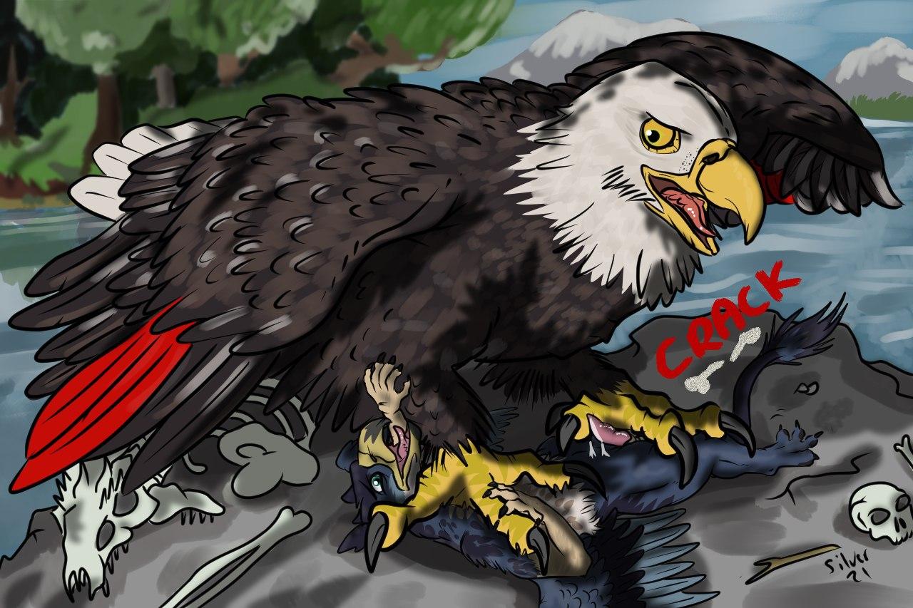 accipitrid accipitriform annie_the_eagle avian bird crush eagle female feral genitals gryphon male mythological_avian mythology penis scared silvergriffin21 straight torvid