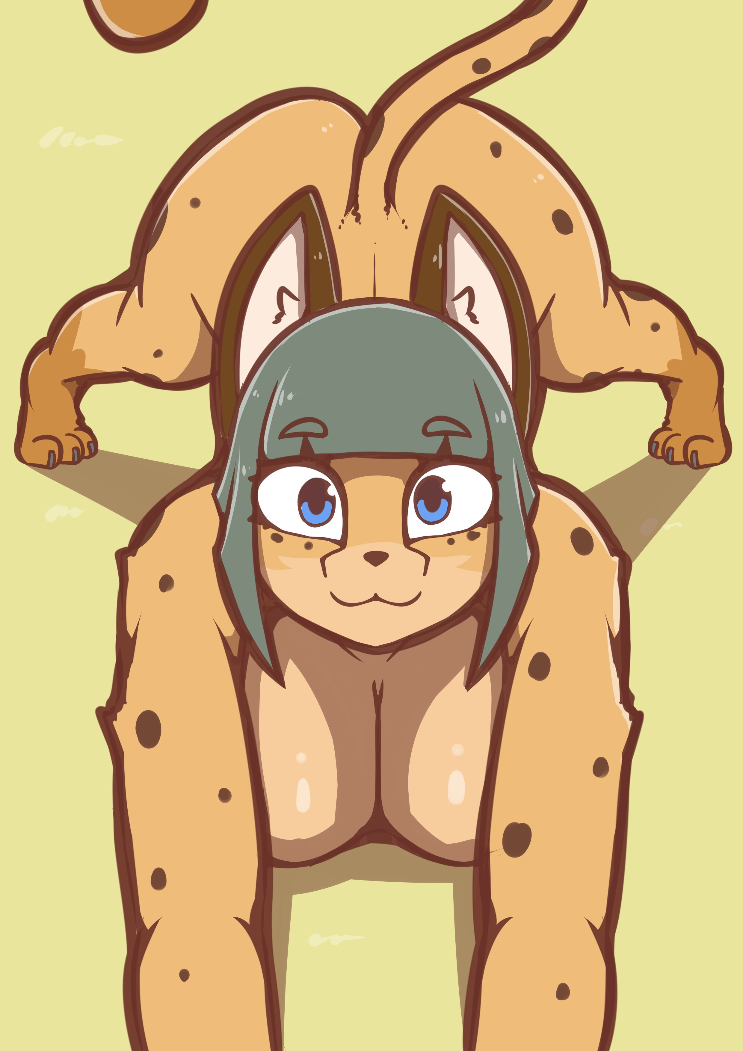 2025, absurd res, anthro, ass, ass up, big breasts, big butt, blue eyes, breasts, cheetah, felid, feline, female, hi res, jack-o' pose, looking at viewer, mammal, nude, pose, quin-nsfw, rika (quin-nsfw), solo
