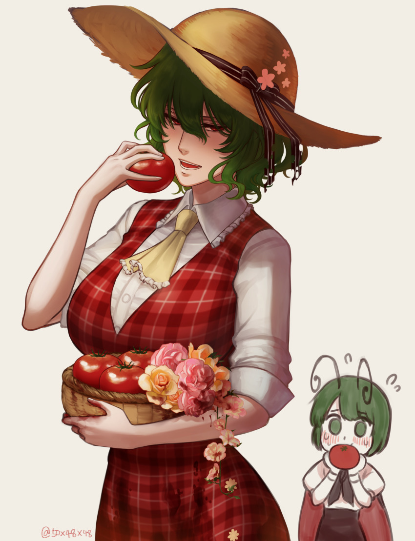 2girls 50x48x48 absurdres ascot better_version_at_source black_cape bow cape collared_shirt commentary eating flower green_eyes green_hair hat hat_bow kazami_yuuka long_skirt long_sleeves lowres multiple_girls plaid plaid_skirt plaid_vest red_cape red_eyes red_skirt red_vest rose shirt short_hair simple_background skirt skirt_set sleeves_rolled_up stain straw_hat tomato touhou two-sided_cape two-sided_fabric vest wavy_hair white_background white_shirt wriggle_nightbug yellow_ascot yuka_kazami yuri