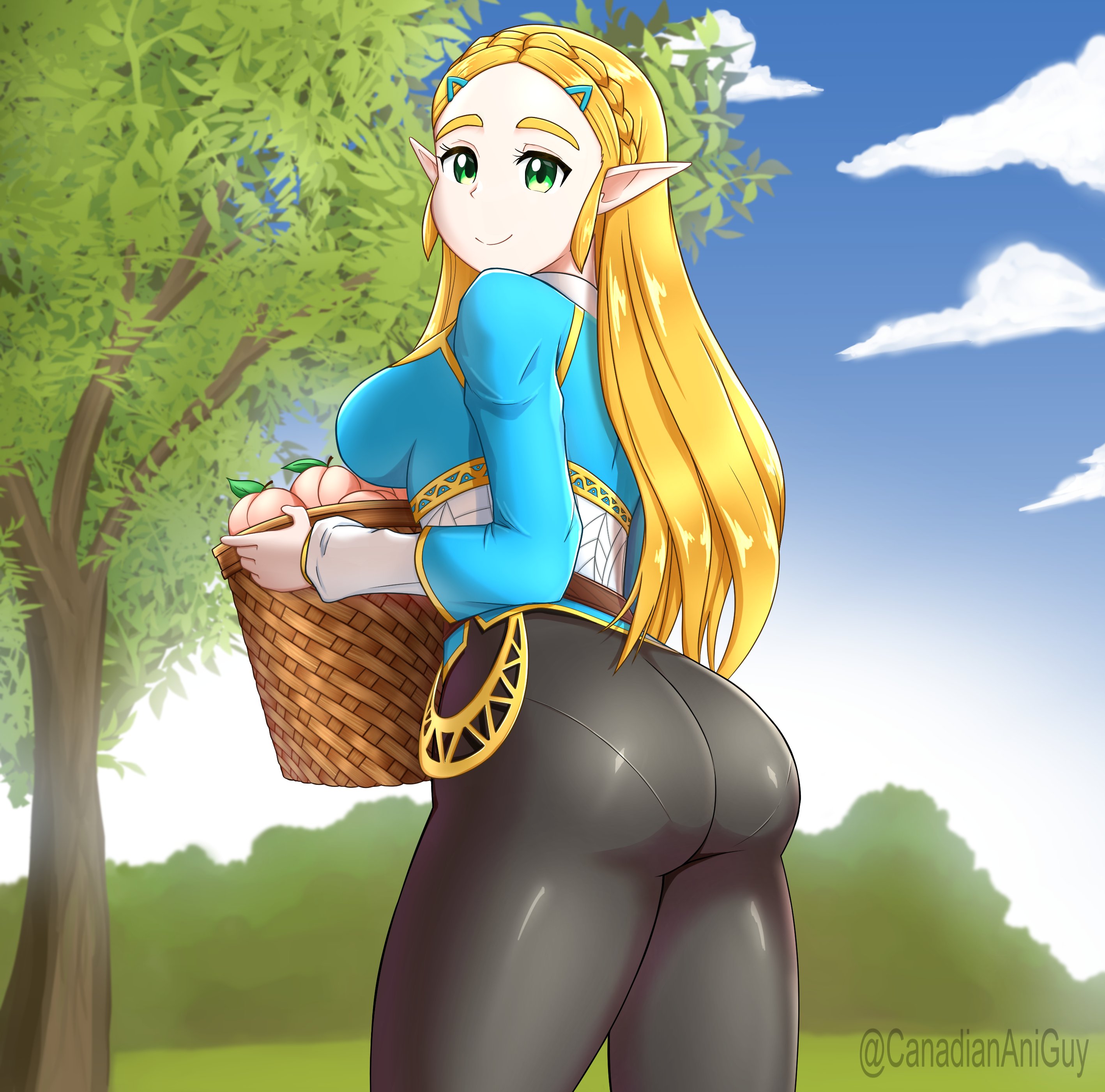 1girls, alternate hairstyle, alternate version available, ass, basket, big ass, big breasts, black pants, blonde hair, blue shirt, bottomwear, breasts, breath of the wild, canadiananiguy, elf ears, female, female only, fully clothed, huge ass, long hair, looking at viewer, nintendo, pantylines, pointy ears, princess zelda, shiny clothes, shirt, smile, solo, solo female, the legend of zelda, tight clothing, topwear, zelda (breath of the wild)