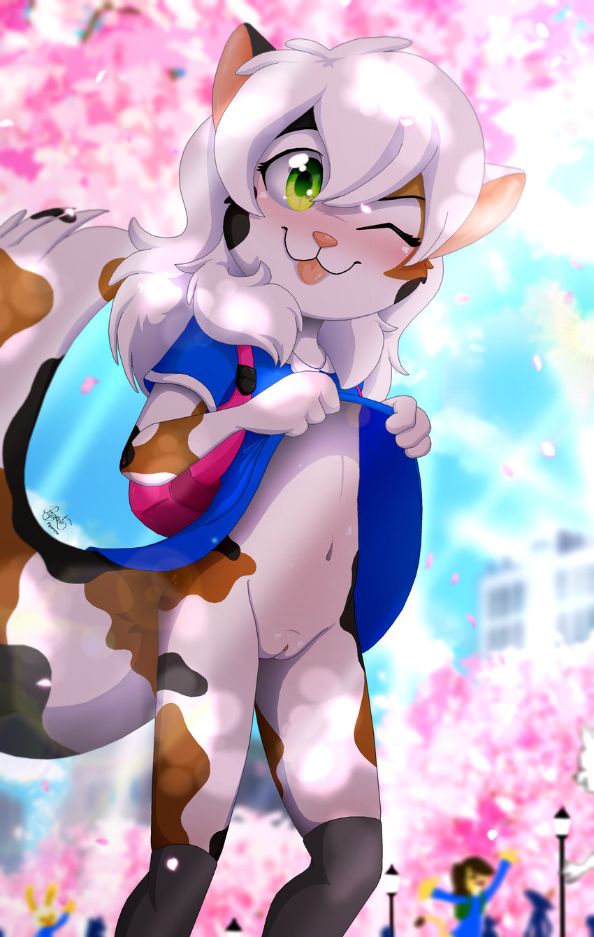 3girls, anthro, anthro female, anthro only, cat, cat girl, cub, domestic cat, exposed pussy, eyebrows, eyelashes, felid, feline, felis, female, female cub, female only, fur, furry, furry female, furry only, green eyes, keiko sakmat, piporete, pussy, selene blackcat, solo, tongue, tongue out, young, young anthro, young female