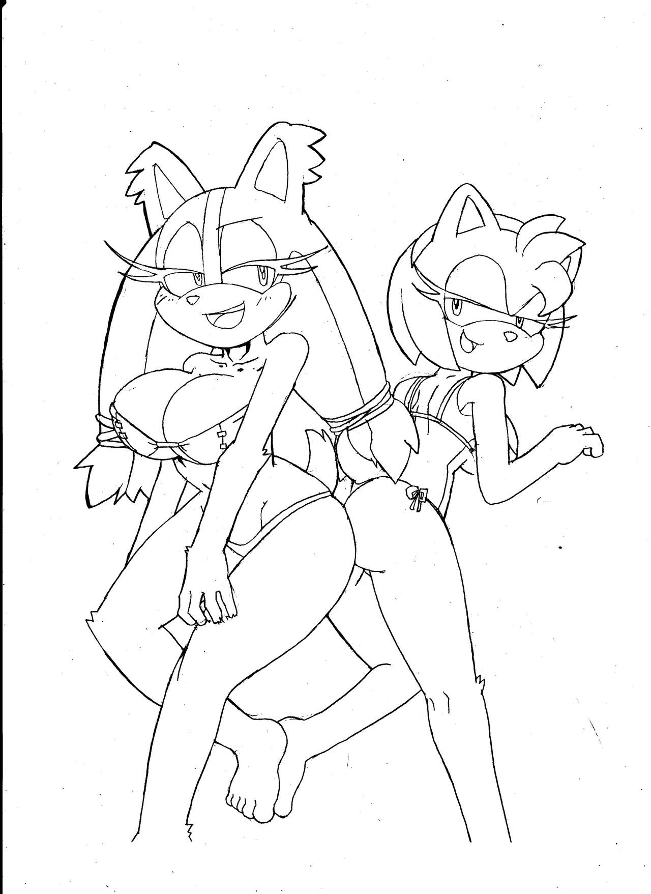 Amy Rose (Sonic (Series)) Rule 34 Image