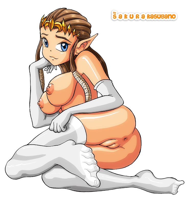 nintendo princess_zelda sakurakasugano the_legend_of_zelda twilight_princess zelda_(twilight_princess)