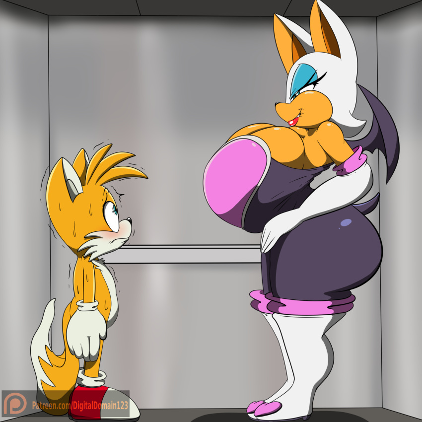 1:1, 2 tails, anthro, ass, bat, big ass, big breasts, big butt, blush, bodily fluids, boots, breast expansion, breast growth, breast growth (enlargement), breasts, canid, canine, chiropteran, clothing, conditional dnp, digitaldomain123, duo, elevator, female, footwear, fox, half-closed eyes, handwear, hi res, huge ass, huge breasts, huge butt, hyper, hyper ass, hyper breasts, hyper butt, larger female, legwear, male, mammal, mostly nude, multi tail, narrowed eyes, rouge the bat, sega, size difference, smaller male, sonic (series), sonic the hedgehog (series), straight, sweat, tails, tails the fox, thigh boots, thigh highs, wings