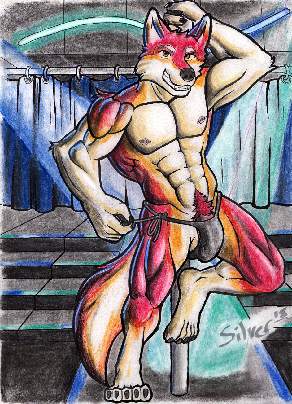 anthro bleiz bulge canid canine canis clothing club_(disambiguation) dancing furry genitals hi_res male male_only mammal muscular muscular_anthro muscular_male nipple_piercing nipples penis piercing pole pole_dancing silverferak solo stage stripper teasing thong traditional_media_(artwork) underwear wolf