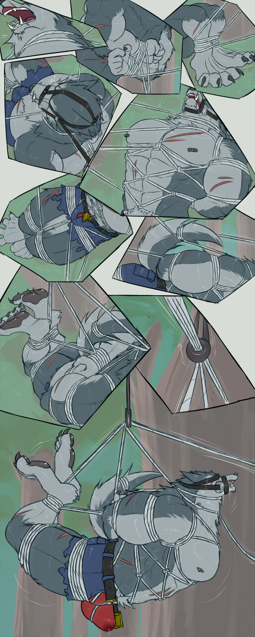 2017 abs anthro barazoku belt bit_gag bodily_fluids bondage bottomwear bound bulge canid canine canis captured clothed clothing comic comic_panel digital_media_(artwork) forest foster-tony fully_bound fur furry gag gagged genital_fluids hi_res hogtied leaking_precum male mammal multicolored_body multicolored_fur muscular muscular_anthro muscular_male mythological_canine mythological_creature mythology pants pecs plant precum precum_through_clothing precum_through_underwear red_clothing red_underwear restraints rope rope_bondage rope_harness scar solo struggling suspension suspension_bondage torn_bottomwear torn_clothing torn_pants tree two_tone_body two_tone_fur underwear werecanid werecanine werecreature werewolf wet wet_clothing wolf