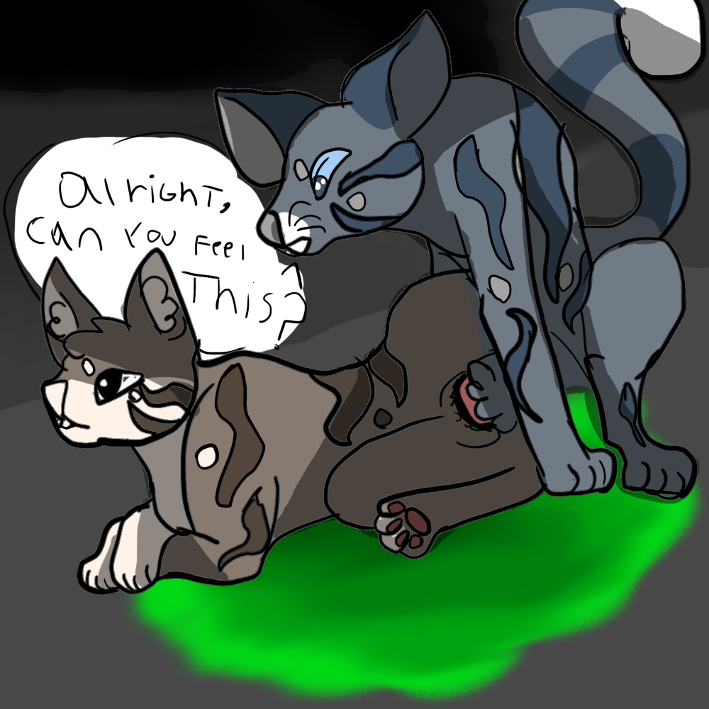 blind briarlight_(warriors) dialogue feline feral jayfeather_(warriors) male_on_female medicine_cat paralyzed warriors_(cats)