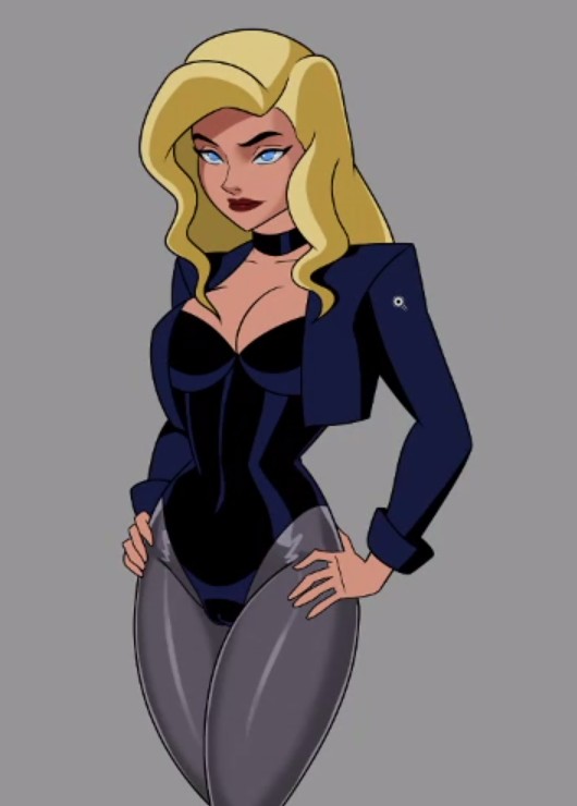 1girls, big breasts, black canary, blonde hair, blue eyes, breasts, cameltoe, cleavage, clothed, dc, dc comics, dcau, dinah lance, female, female only, fully clothed, green arrow (series), justice league unlimited, leotard, light skin, light-skinned female, lowres, pussy, solo, something unlimited, stockings, sunsetriders7
