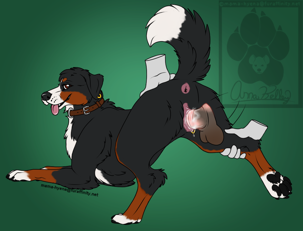 anatomically_correct anatomically_correct_genitalia anatomically_correct_pussy animal_genitalia animal_penis animal_pussy anus ass ass_up bernese_mountain_dog black_body black_fur bodily_fluids breath brown_body brown_fur canid canine canine_pussy canis collar cum cum_in_pussy cum_inside disembodied_hand disembodied_penis domestic_dog ear_piercing ear_ring equine_penis female feral floppy_ears fur genital_fluids genitals looking_back male mama-hyena mammal molosser mountain_dog multicolored_body multicolored_fur panting pawpads paws penetration penis piercing presenting presenting_hindquarters presenting_pussy pussy raised_leg raised_tail sex solo swiss_mountain_dog vaginal_penetration vaginal_penetration