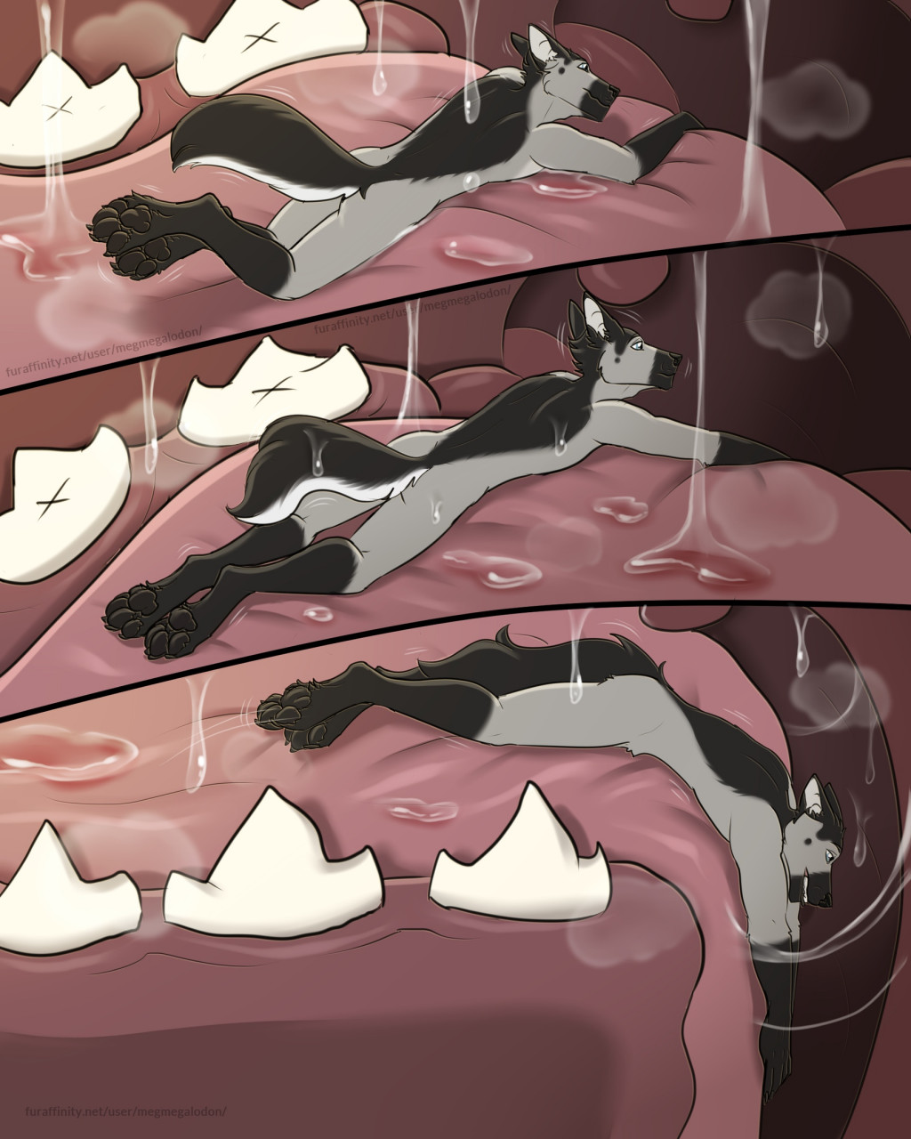 2020 4:5 aeturnus anthro black_pawpads bodily_fluids canid canine comic digital_media_(artwork) flat_colors fur grey_body grey_fur hi_res hindpaw inside_mouth lying male mammal meg_megalodon micro nude on_front on_tongue oral_vore pawpads paws saliva saliva_string solo swallowing text throat url uvula vore