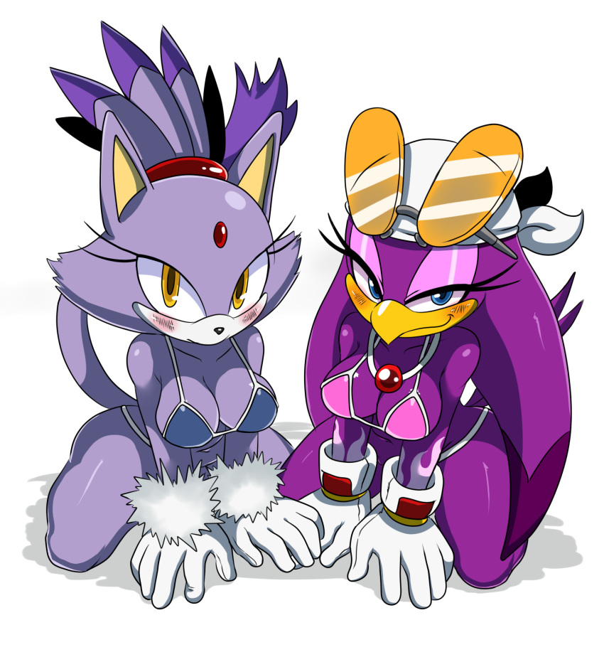 2girls, anthro, avian, bandana, big breasts, bikini, bird, blaze the cat, blue eyes, blush, breasts, clothing, digital media (artwork), duo, eyewear, feline, female, glasses, headkerchief, hi res, kneeling, looking at viewer, mammal, navel, sega, simple background, sonic (series), sonic riders, sonic the hedgehog (series), sssonic2, swallow (bird), swimsuit, thong, tight clothing, wave the swallow, white background, yellow eyes