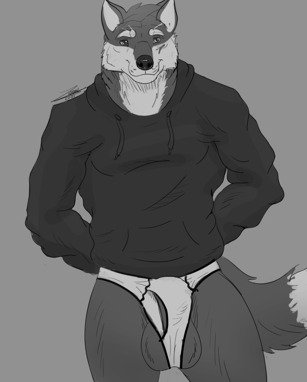 2020 anthro ball_slip balls bulge canid canine canis clothing digital_media_(artwork) genitals greyscale hands_in_pockets hi_res hoodie looking_at_viewer male male_only mammal monochrome pockets portrait solo three-quarter_portrait topwear torn_underwear underwear wolf zawn