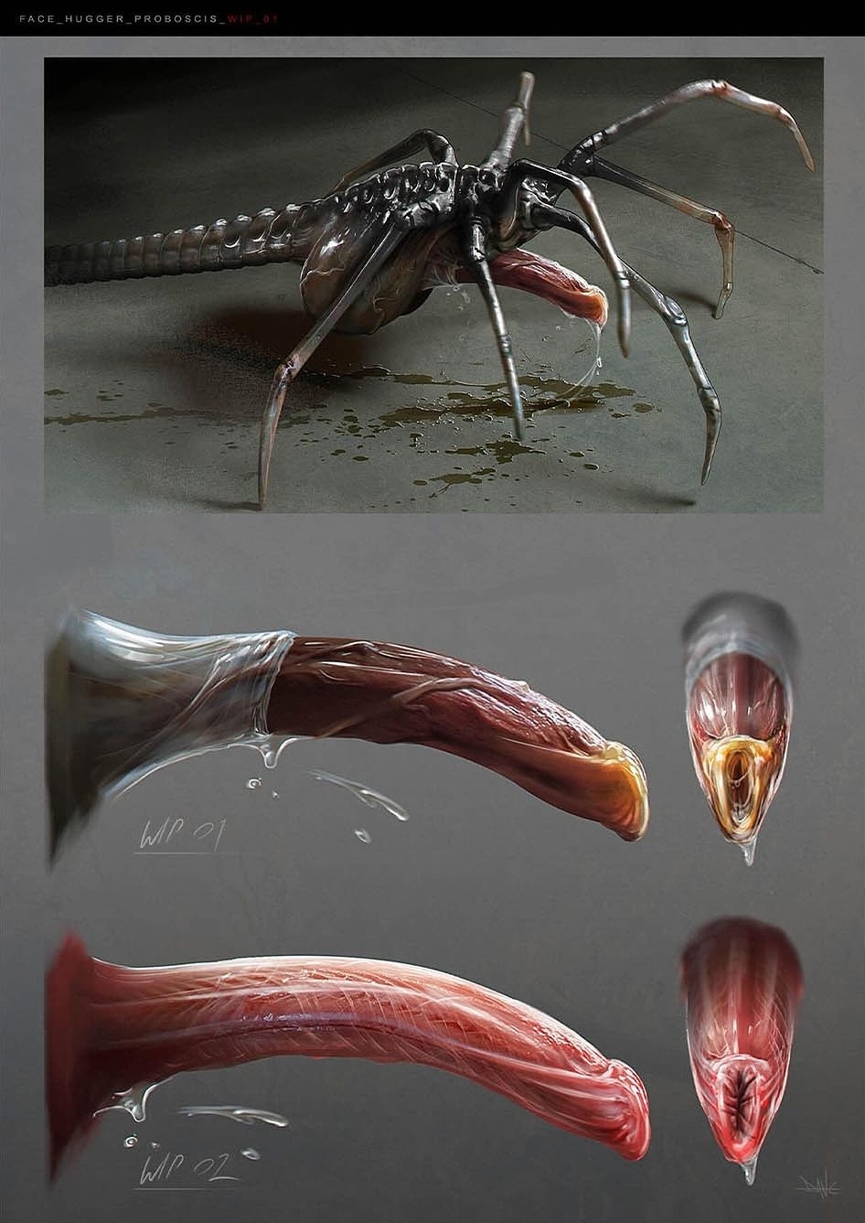 20th_century_fox 20th_century_studios 8_legs alien alien_(franchise) alien_genitalia bodily_fluids concept_art dane_hallett digital_media_(artwork) english_text erection facehugger feral genital_fluids genitals hi_res male multiple_versions official_art ovipositor penis simple_background solo tail text