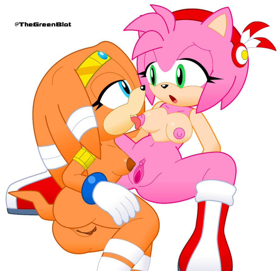 2girls amy_rose blue_eyes boots clitoris duo echidna gloves green_eyes hair hedgehog inkbunny licking looking_at_another multiple_girls neoeclipse open_mouth orange_body orange_hair pink_body pink_hair pussy sonic_(series) tiara tikal_the_echidna tongue tongue_out transparent_background yuri