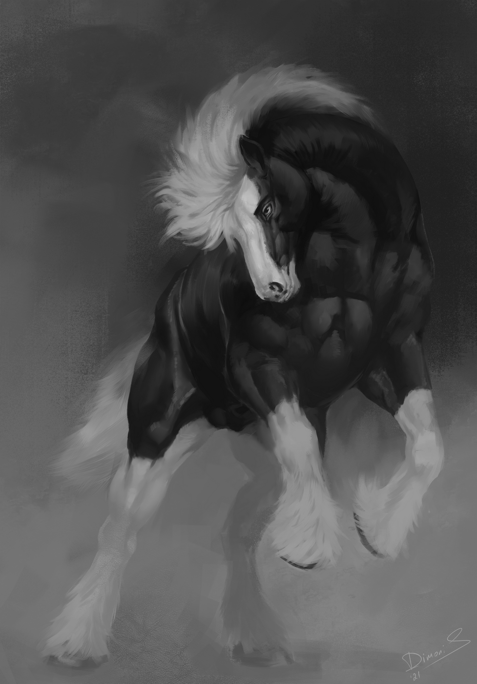 2021 anatomically_correct animal_genitalia balls black_body black_fur digital_media_(artwork) dimonis equid equine feral fur genitals hair hi_res hooves horse male mammal monochrome muscular sheath signature simple_background solo watermark white_body white_fur white_hair