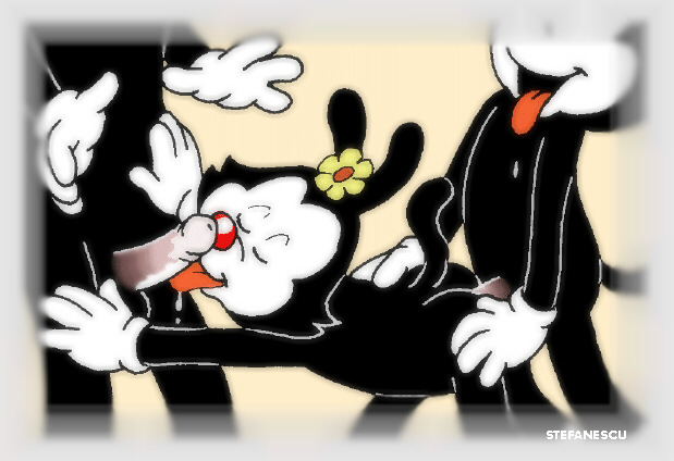 anal animaniacs dot_warner flower incest male/female oral_sex sex stefanescu straight wakko_warner yakko_warner