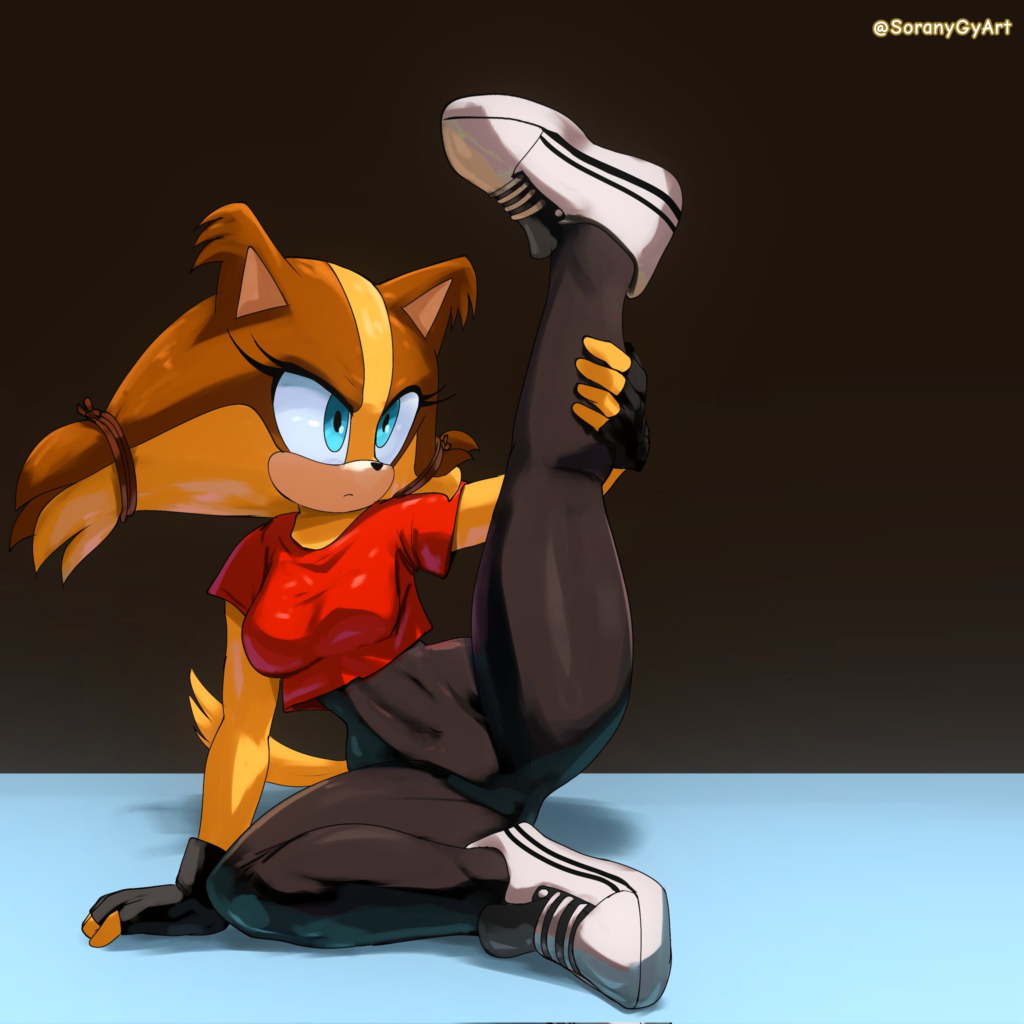 gym, gym clothes, leg held open, leggings, sonic (series), soranygy, sticks the badger, t-shirt
