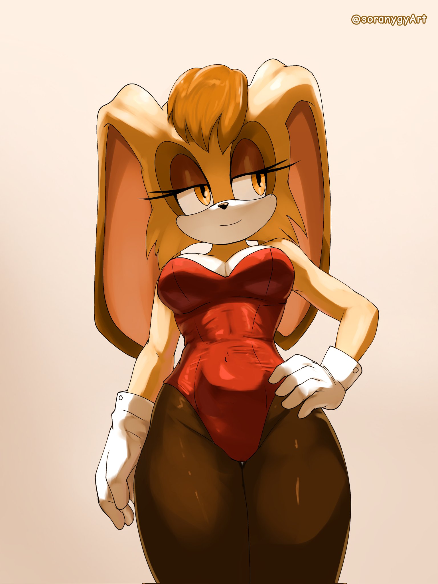 bunny girl, bunnysuit, leotard, milf, pantyhose, sonic (series), soranygy, vanilla the rabbit