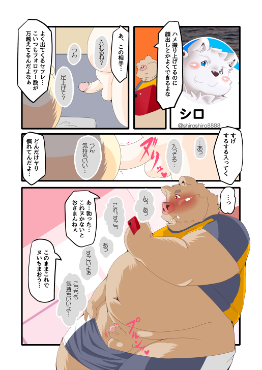 2021 anal anthro ass balls blush cellphone comic erection fur genitals group japanese_text kemono male male/male mammal overweight overweight_male penis phone polar_bear sex smartphone suid suina sus_(pig) text tomoya_(artist) tomoyamaru tomoyamaru_alt ursid ursine white_body white_fur wild_boar