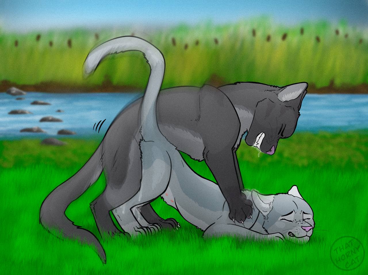 domestic_cat domination duo felid feline felis female female_penetrated feral graystripe_(warriors) male male/female male_domination male_penetrating male_penetrating_female mammal orgasm penetration silverstream_(warriors) thathornycat