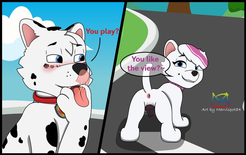 animal_pussy anus ass_focus asshole dalmatian domestic_cat gray_pussy looking_at_partner looking_back_at_partner paw_patrol pink_anus presenting presenting_anus presenting_hindquarters presenting_pussy roxi_(paw_patrol) samoyed spots_(oc_marvispot84) waiting_for_cum waiting_for_sex wanting_cum wanting_sex