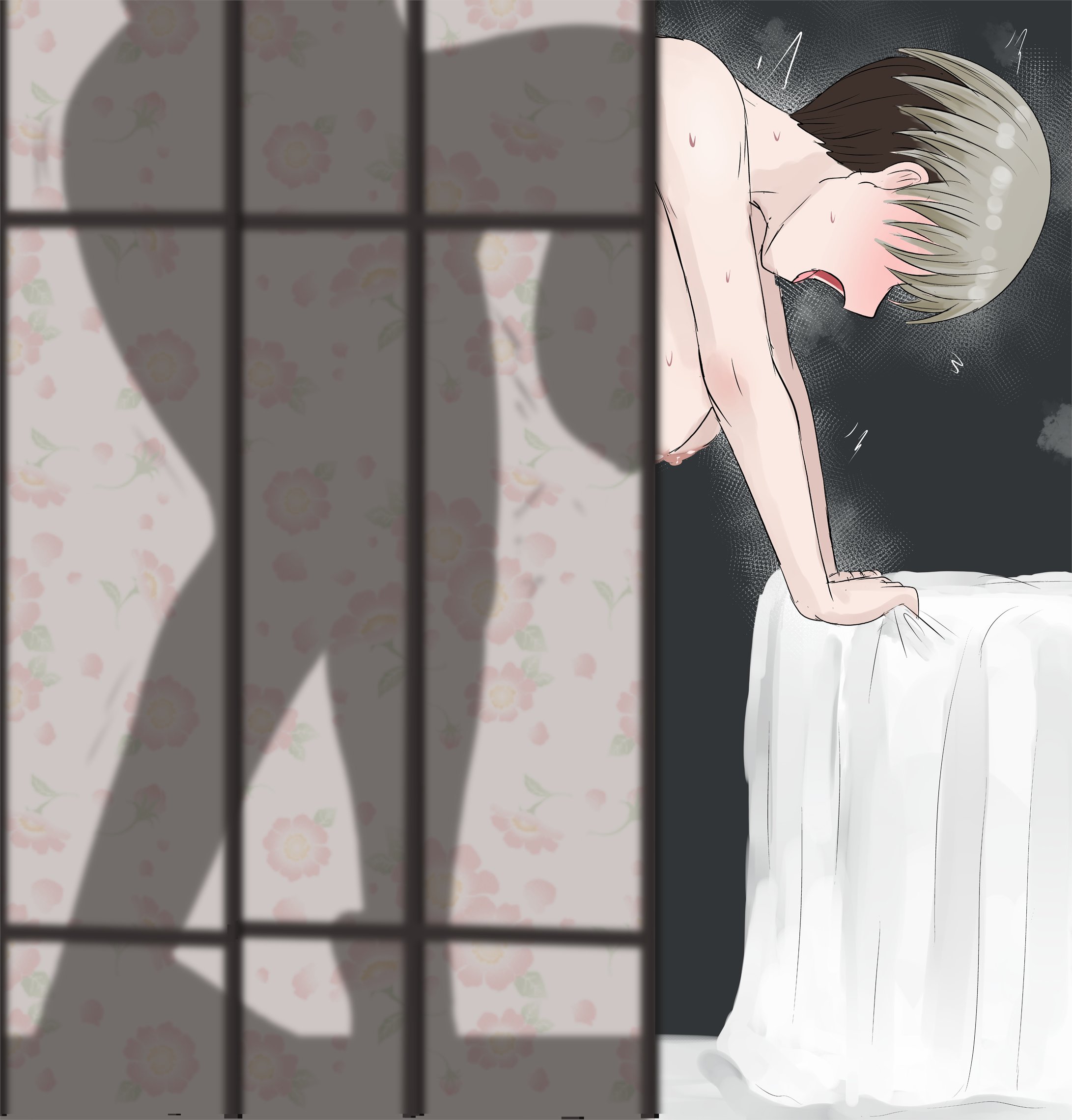 1boy, 1girls, breasts, female, female focus, female penetrated, fuzzlogik, light skin, light-skinned female, male, male penetrating, male penetrating female, male/female, nipples, penis in pussy, silhouette, silhouette sex, uzaki hana, uzaki-chan wa asobitai!, vaginal, vaginal penetration, vaginal sex