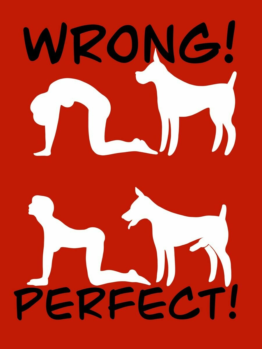 all fours, arched back, artist request, canine, canine on human, canine penis, female, female human/male feral, female on feral, feral, feral male, feral on female, feral on human, human, human female, human on feral, imminent bestiality, imminent penetration, imminent sex, knot, male, original, penis, presenting, presenting hindquarters, silhouette, zoophilia