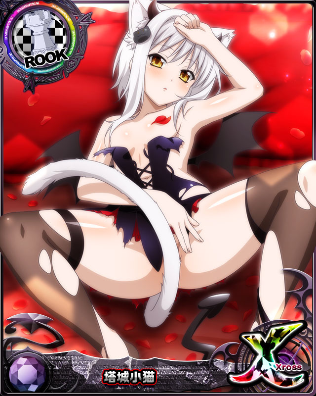 high_school_dxd koneko_toujou nekomimi white_hair yellow_eyes