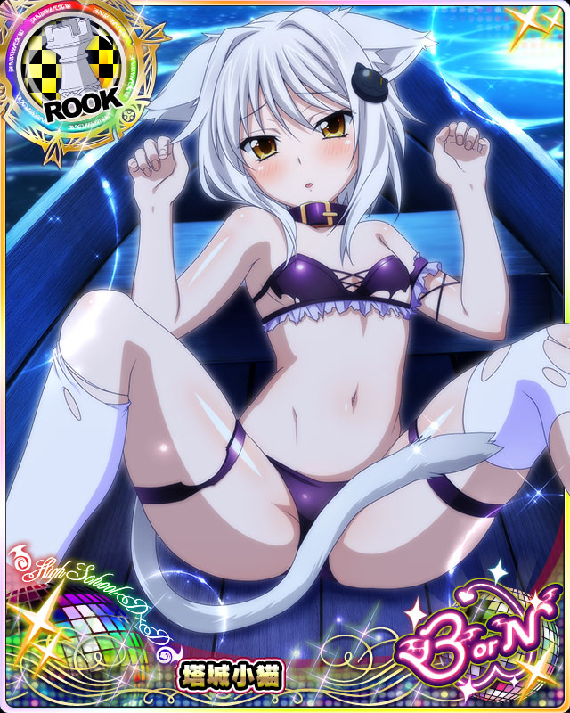 cute high_school_dxd koneko_toujou nekomimi white_hair