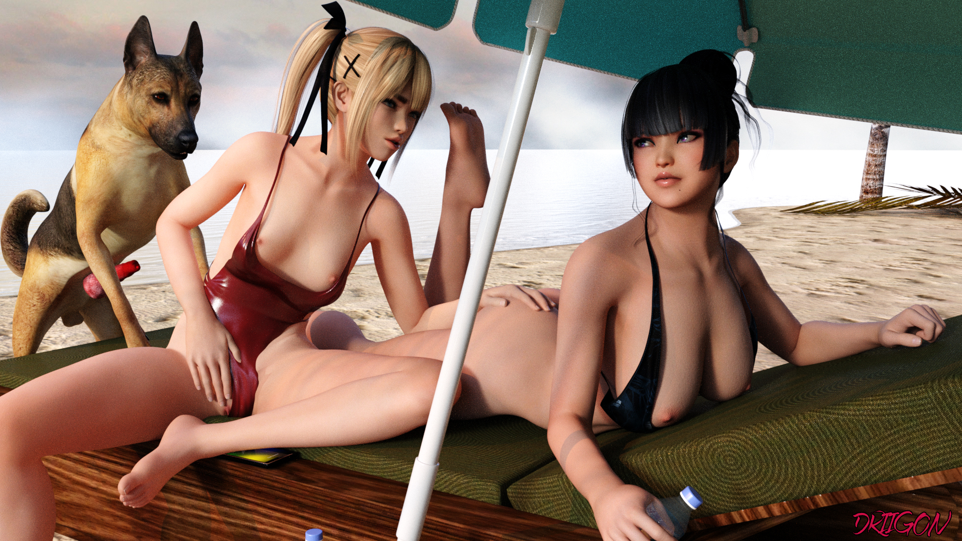 1boy, 2girls, 3d, beach, bikini, black hair, blonde hair, brown hair, canine, canine penis, dead or alive, driigon, eyes, feet, female, knot, male, marie rose, nyotengu, penis, public, zoophilia