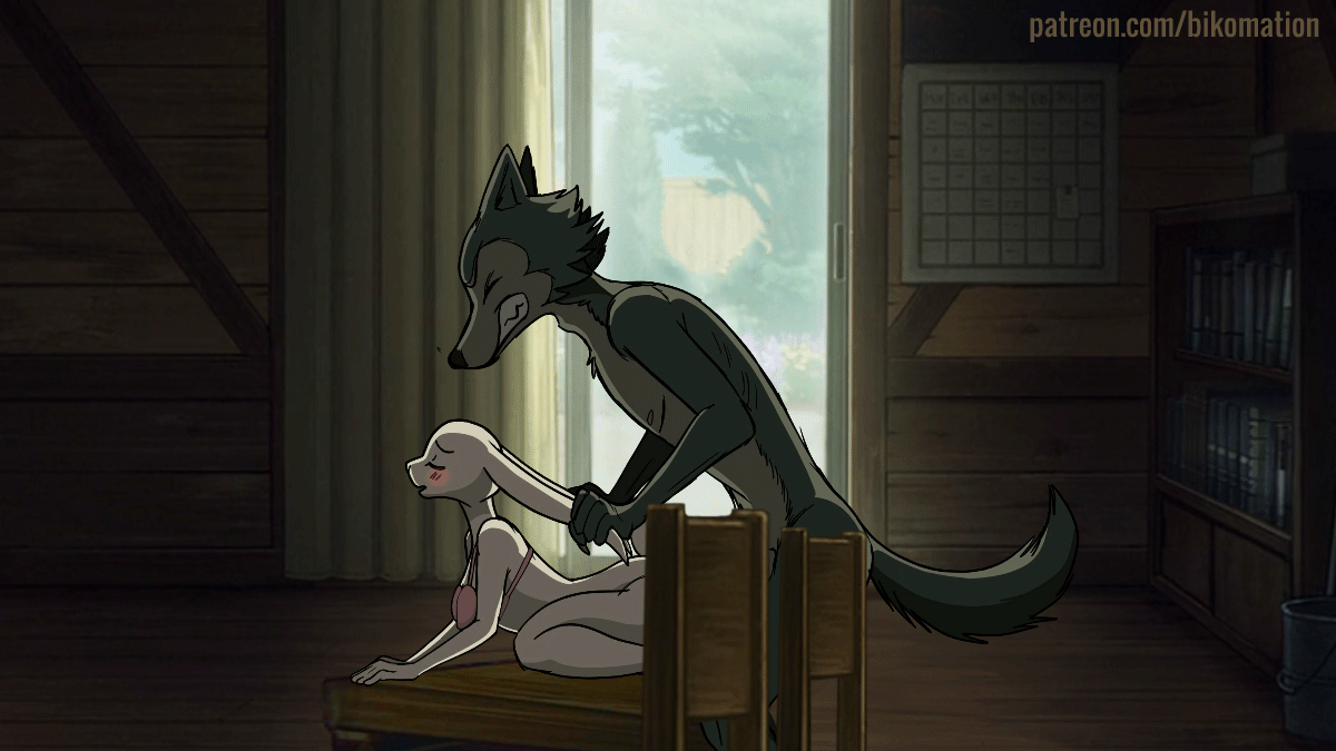 16:9, 2d, 2d animation, advertisement, all fours, animated, animated gif, anthro, anthro on anthro, anthro penetrated, anthro penetrating, anthro penetrating anthro, beastars, bikomation, blush, bouncing breasts, bra, breasts, canid, canine, canis, clothing, conditional dnp, convenient censoring, digital media (artwork), doggy style, duo, female, female penetrated, frame by frame, from behind position, fur, furniture, genitals, grey body, grey fur, hand on ear, haru (beastars), hetero, interspecies, lagomorph, larger male, legoshi (beastars), leporid, male, male penetrating, male penetrating female, male/female, mammal, netflix, open mouth, penetration, predator/prey, pussy, rabbit, raised tail, rough sex, sex, short playtime, size difference, smaller female, smaller penetrated, teeth, underwear, white body, white fur, widescreen, wolf