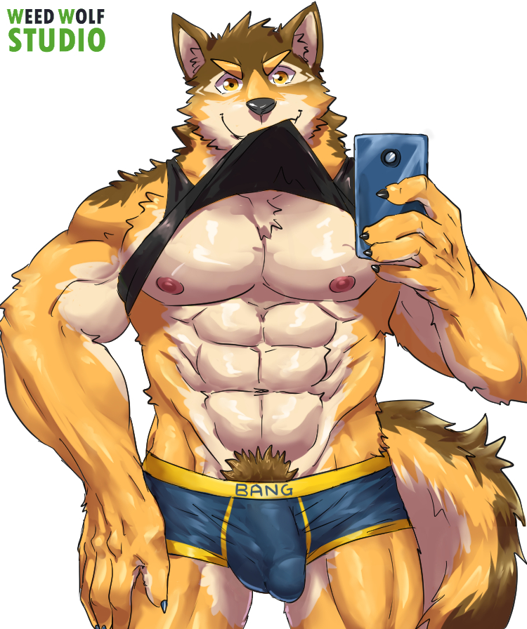 abs anthro barrel_(live_a_hero) bulge canid canine canis clothing english_text genital_outline live-a-hero male male_only mammal mirror mirror_selfie muscular muscular_anthro muscular_male nipples pecs penis_outline pubes selfie shirt solo tank_top text topwear underwear weedwolfeatmeat wolf