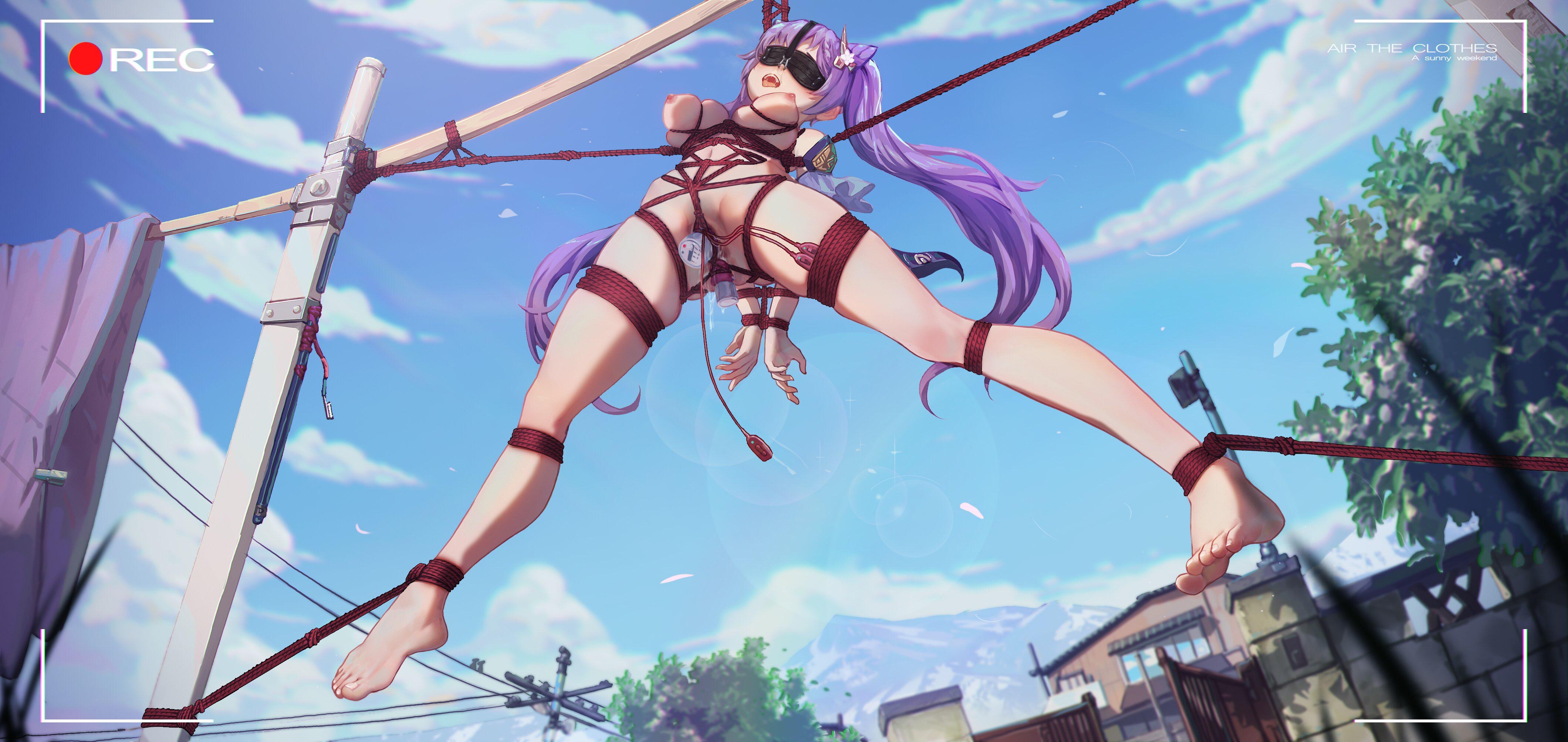 1girls, arms behind back, arms tied, arms tied behind back, blindfold, blush, bondage, breast bondage, breasts, female, female only, forced exhibitionism, forced orgasm, genshin impact, icecake, keqing (genshin impact), nipples, nose hook, nude, outdoors, outside, public, public indecency, purple hair, pussy, red rope, remote control vibrator, rope bondage, spread eagle, suspension, tagme, twintails, vaginal object insertion, vibrator in pussy