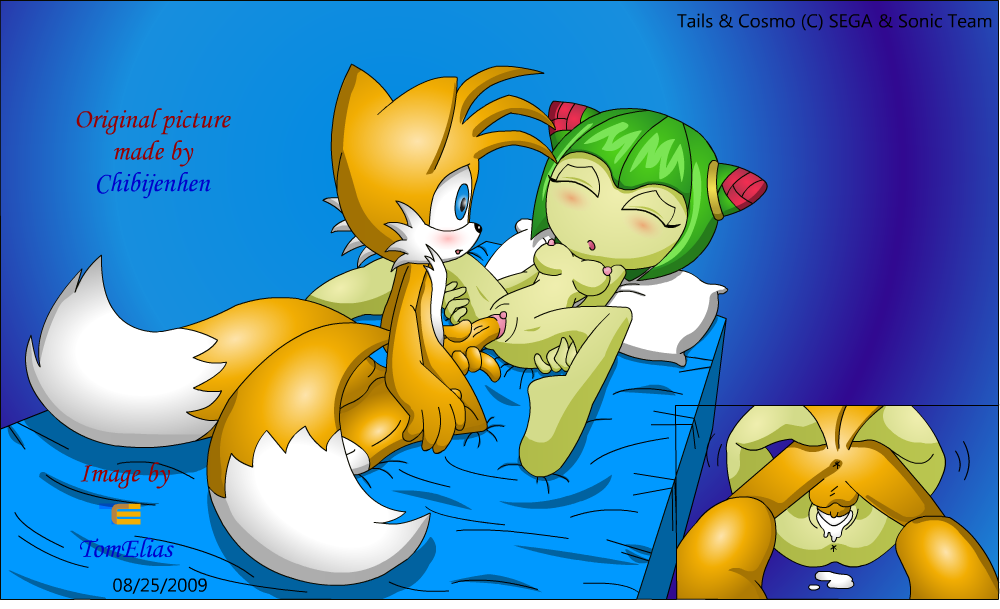 2009 chibi-jen-hen cosmo_the_seedrian creampie cum_in_pussy cum_inside edit fur furry_tail multiple_tails romantic seedrian sega sex sonic_(series) sonic_x tail tails tom_elias vaginal_penetration