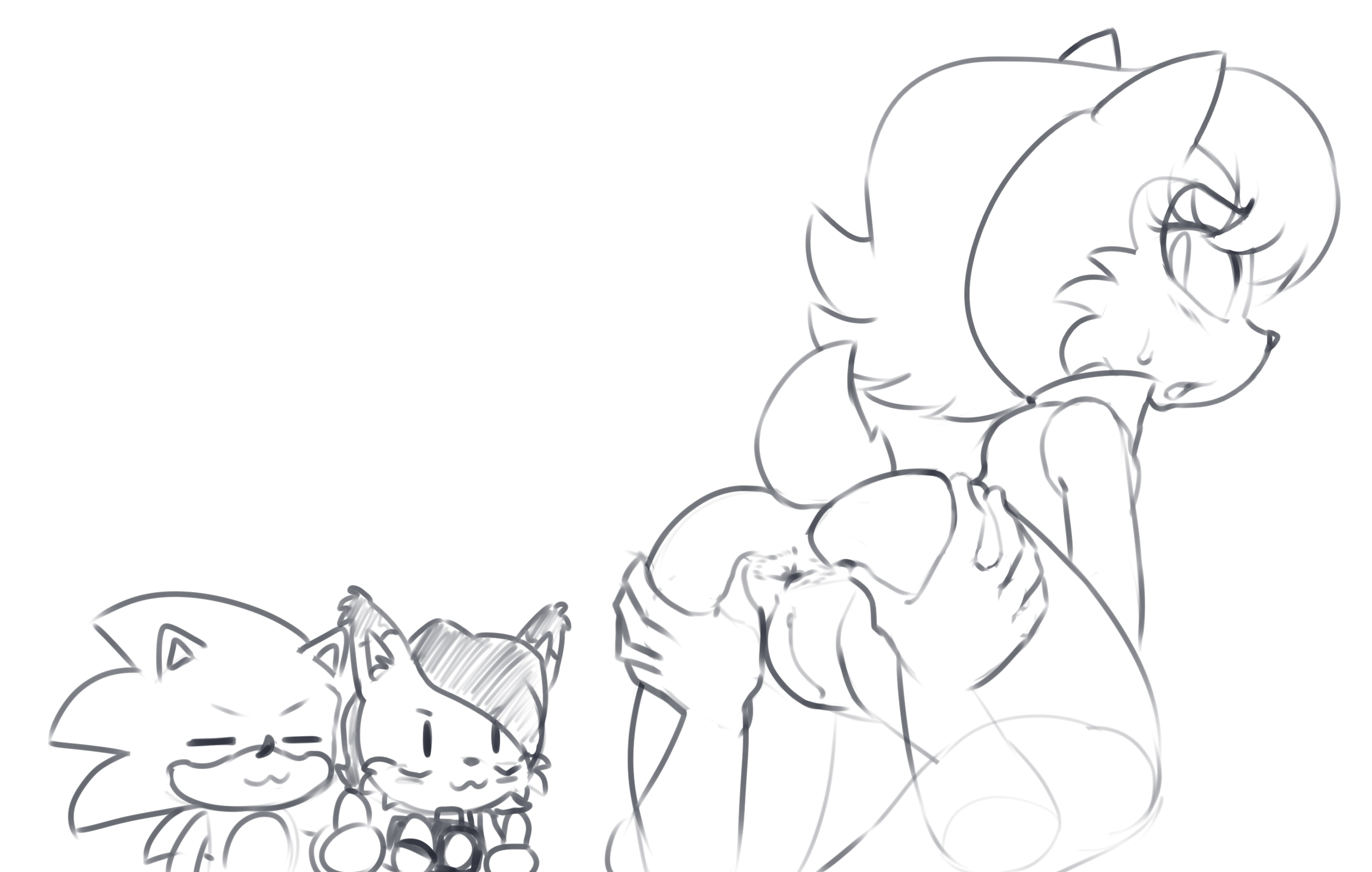 :3, 1boy, 1other, 2girls, ambiguous gender, anus, archie comics, ass, blush, camera, chibi, chipmunk, eulipotyphlan, felid, feline, female, ground squirrel, hearlesssoul, hedgehog, looking back, lynx, male, mammal, nicole the lynx, rodent, sally acorn, sciurid, sega, sonic (series), sonic the hedgehog, sonic the hedgehog (archie), sonic the hedgehog (comics), sonic the hedgehog (series), spread anus, squirrel, sweat, tenshigarden, thumbs up